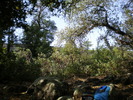 photo thumbnail #6