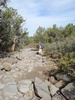 photo thumbnail #12