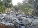 photo thumbnail #14