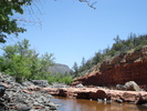 recent photo