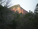 recent photo