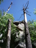 photo thumbnail #4