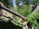 photo thumbnail #6