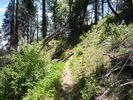 photo thumbnail #7