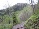 photo thumbnail #8
