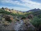 photo thumbnail #7
