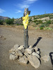 photo thumbnail #11
