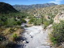 photo thumbnail #12