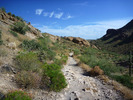 photo thumbnail #13