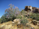 photo thumbnail #15