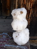 photo thumbnail #9