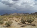 photo thumbnail #4