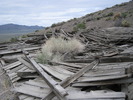 photo thumbnail #4