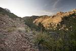 photo thumbnail #5