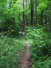photo thumbnail #5
