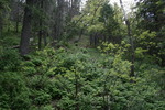 photo thumbnail #14