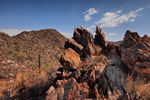 photo thumbnail #13