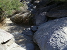photo thumbnail #9
