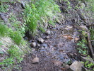 photo thumbnail #10