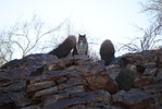 photo thumbnail #5
