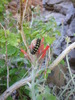 photo thumbnail #11