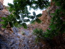 photo thumbnail #13