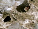 Featured Full Photo