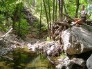 photo thumbnail #3