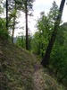 photo thumbnail #8