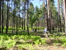 photo thumbnail #12