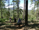 photo thumbnail #13