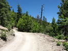 photo thumbnail #7