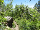 photo thumbnail #9