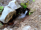 photo thumbnail #9