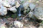 photo thumbnail #11