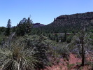 photo thumbnail #12
