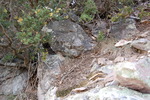 photo thumbnail #12