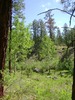 photo thumbnail #2