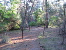photo thumbnail #1