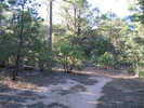 photo thumbnail #3