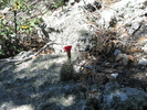 photo thumbnail #10