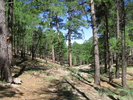 photo thumbnail #12