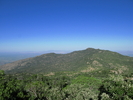recent photo