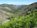 photo thumbnail #11
