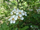 photo thumbnail #13