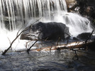 photo thumbnail #5