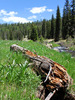 photo thumbnail #6