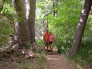 photo thumbnail #14
