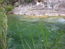 photo thumbnail #15