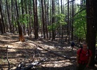 photo thumbnail #1